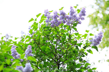 Similar image 21823249