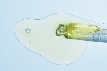 Similar image 21824105