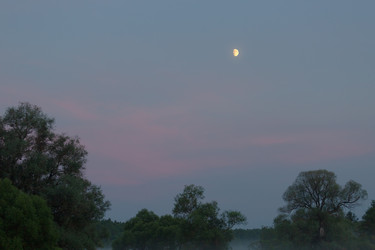 Similar image 21824107