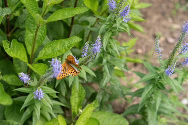 Similar image 21825802