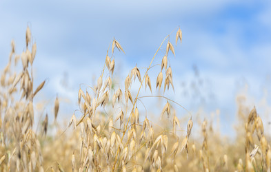 Similar image 21825804