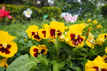 Similar image 21826752