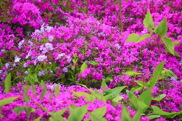 Similar image 21824266