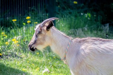 Similar image 21824269