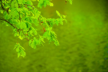 Similar image 21824270