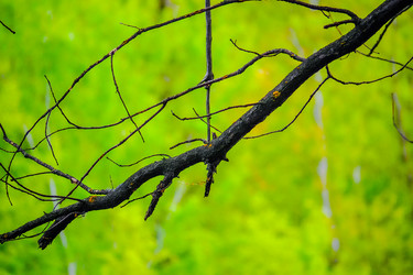 Similar image 21824272