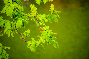 Similar image 21824273