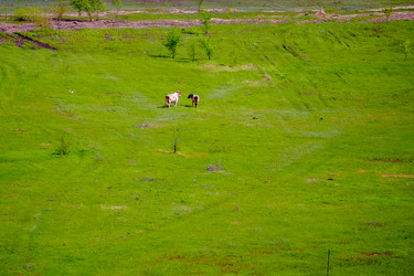 Similar image 21824296