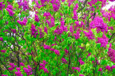 Similar image 21824306