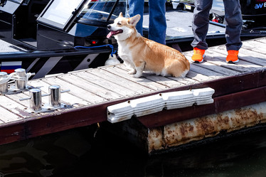 Similar image 21824466