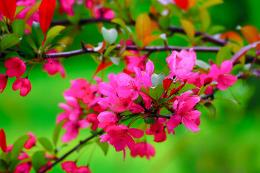 Similar image 21824468