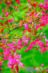 Similar image 21824469