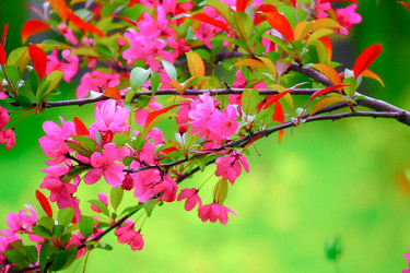 Similar image 21824471