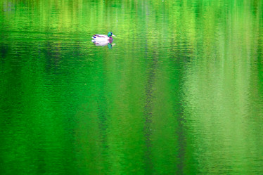 Similar image 21824473