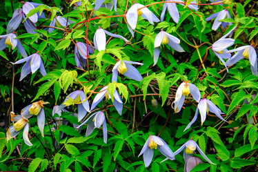 Similar image 21824476