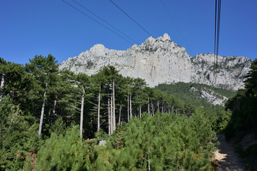 Similar image 21824122