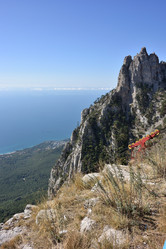 Similar image 21824129