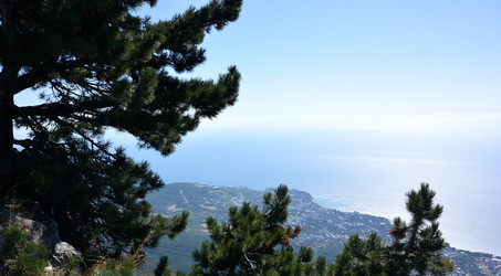 Similar image 21824145