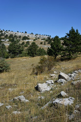 Similar image 21824154