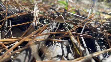 Similar image 21824157