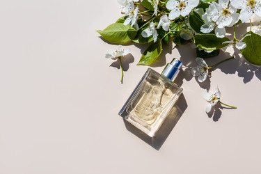 Similar image 21824164