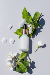 Similar image 21824359