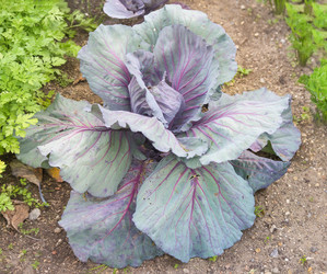 Similar image 21826213