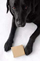 Similar image 21824175