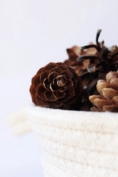 Similar image 21824176