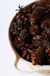 Similar image 21824177