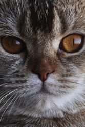 Similar image 21824181