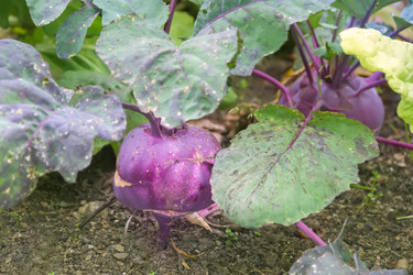 Similar image 21826214