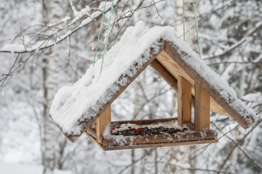 Similar image 21825514