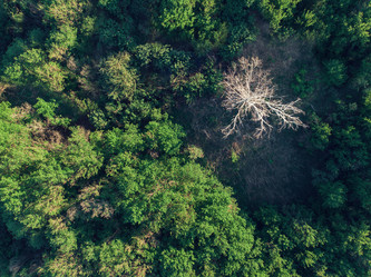 Similar image 21825517