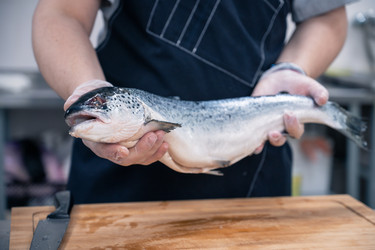 Similar image 21825571