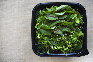 Similar image 21824182