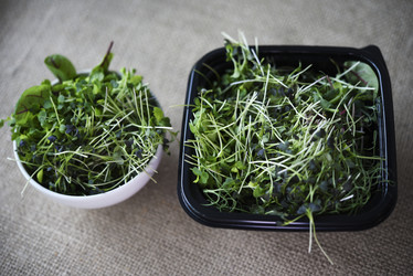 Similar image 21824187