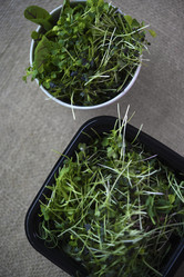 Similar image 21824188