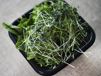 Similar image 21824189