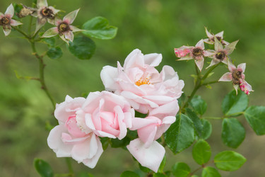 Similar image 21826215