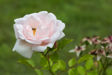 Similar image 21826216