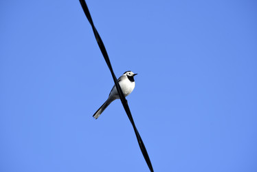 Similar image 21825599