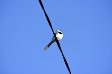 Similar image 21825600