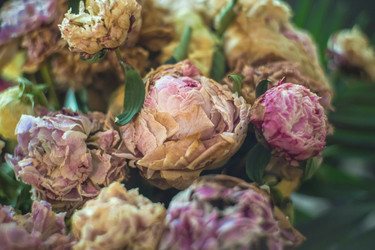 Similar image 21827695