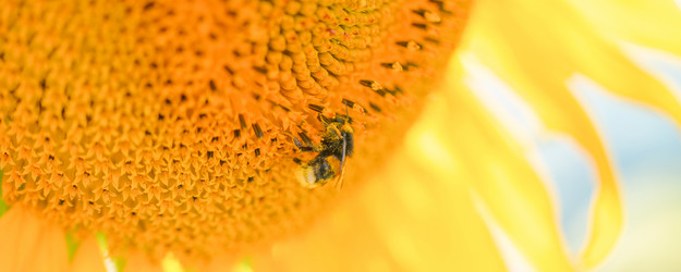 Similar image 21827696