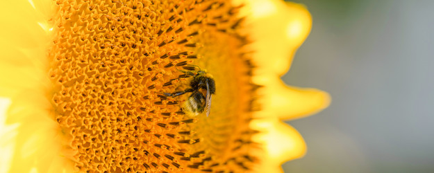 Similar image 21827697