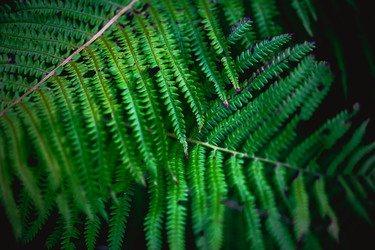 Similar image 21827700