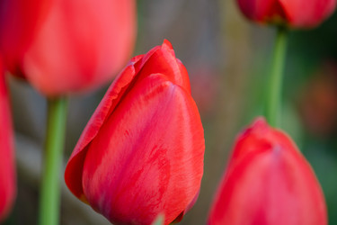 Similar image 21827702