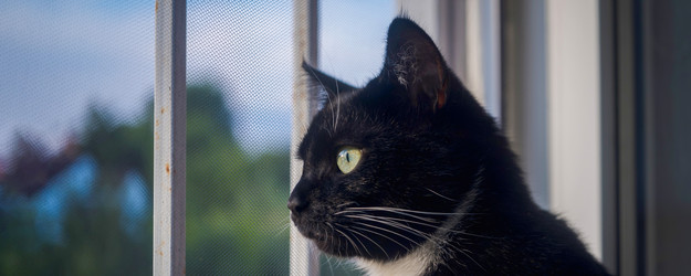 Similar image 21827707