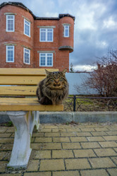 Similar image 21827710